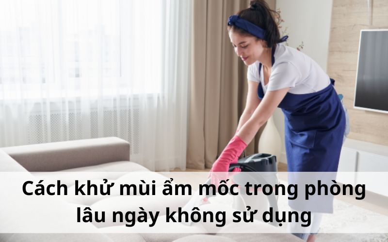 Cách khử mùi ẩm mốc trong phòng lâu ngày không sử dụng Cách khử mùi ẩm mốc trong phòng lâu ngày không sử dụng