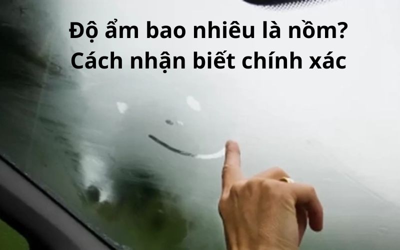 Độ ẩm bao nhiêu là nồm? Cách nhận biết chính xác Độ ẩm bao nhiêu là nồm? Cách nhận biết chính xác