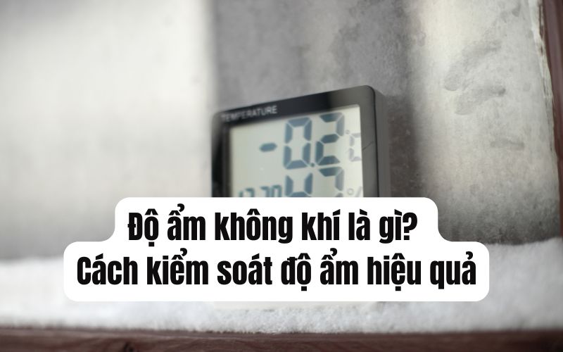 Độ ẩm không khí là gì? Cách kiểm soát độ ẩm hiệu quả Độ ẩm không khí là gì? Cách kiểm soát độ ẩm hiệu quả